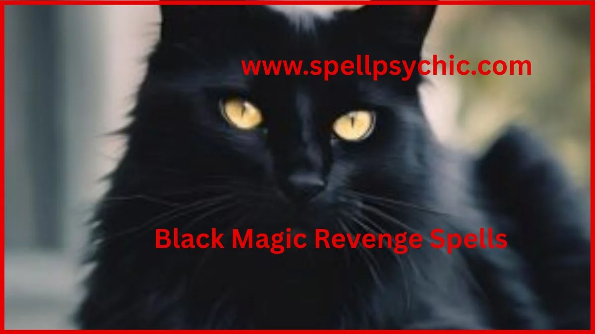 black magic revenge spells, revenge spells, magic spells for revenge, powerful black magic revenge spells