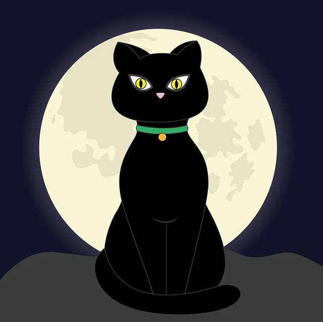 spells for protection from anything, Protection Spells, Evil Eye Protection, Black Magic Protection, Hex, Curse, Talismans,