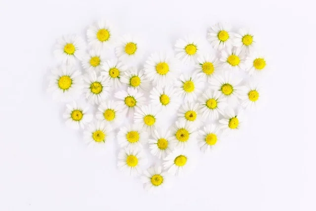 Sortilège Pour Recouvrir l'Amour Perdu, Talismans, Rituel, Amour, Magie, Magie Blanche, Sortilèges, Charmes, Rituels et sortilèges d' amour, Talisman, recouvrir l'amour perdu sortilège, sortilege pour retrouver l'amour perdu, Talismans, retrouver l'amour perdu, Sortilege et Rituel pour Recuperer un Amour Perdu, Retour d'affection, Rituels et Sortilèges: Amour